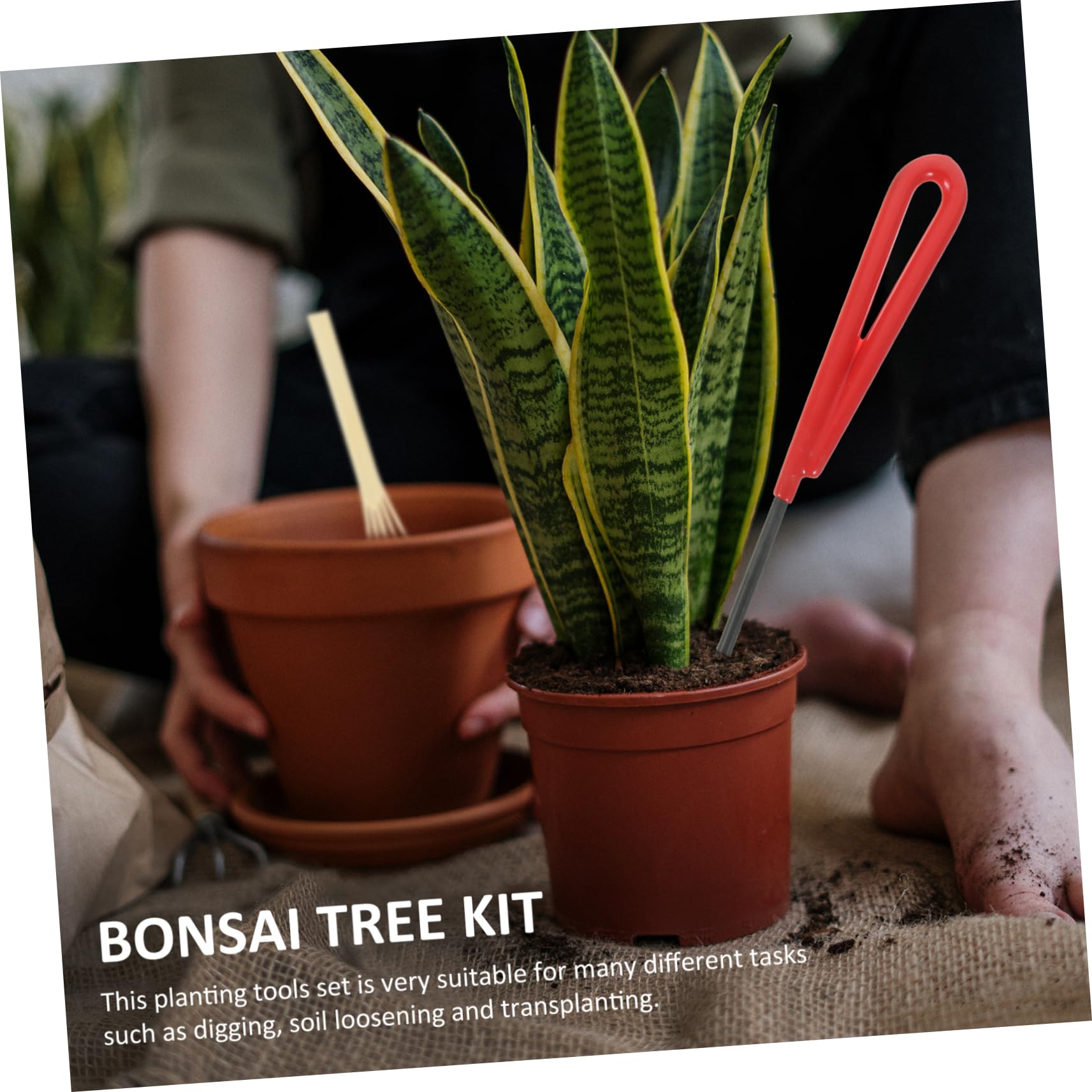 1 zestaw Zestaw narzędzi ogrodniczych Narzędzia ogrodowe Zestawy narzędzi ogrodowych Nożyczki Drzewo Bonsai Grabie ogrodnicze Narzędzia ogrodowe do usuwania doniczek Rośliny zielone Nożyce do przycina