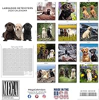 Vista 882 de Razas de Perros 2017