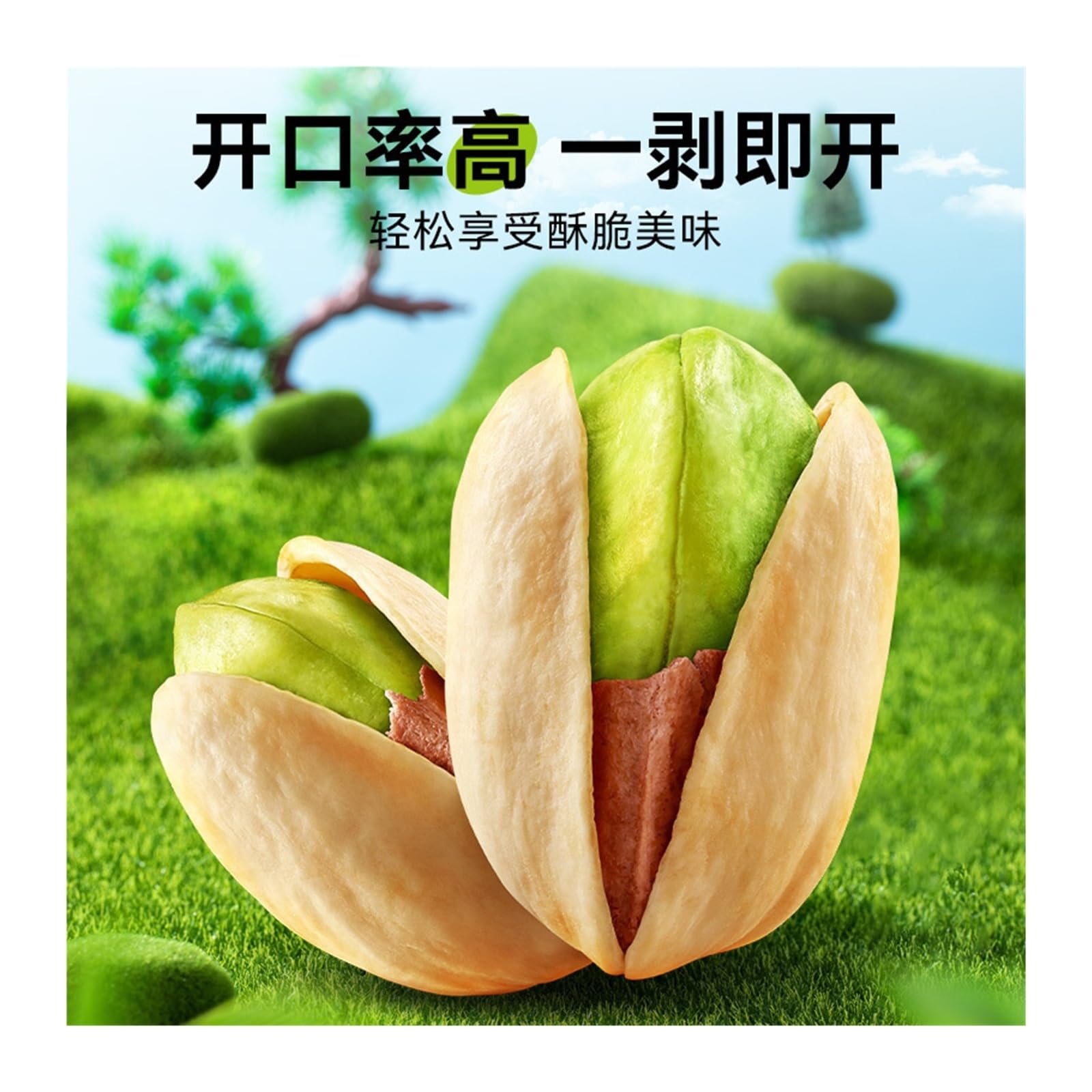 Lata de 480 g de pistachos grandes: frutos secos y snacks crujientes, dulces y crujientes