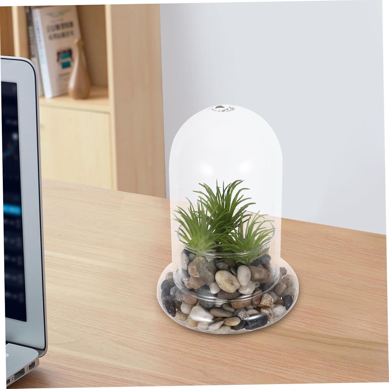 Healifty 2pcs Ecological Bottle Micro Landscape Decoration High Borosilicate Glass DIY Terrarium Jars for Desk Nature Display