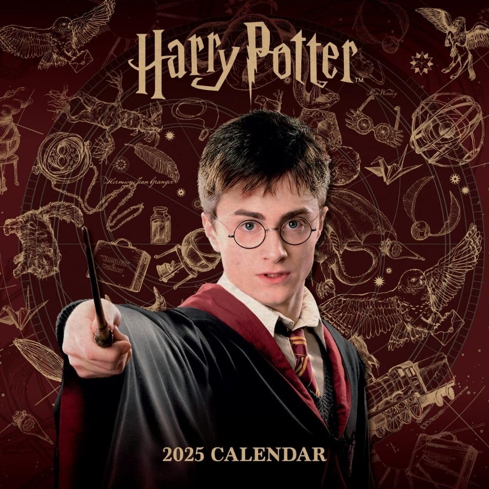 2025 Calendar Harry Potter Month to View Square Calendar Official Product
