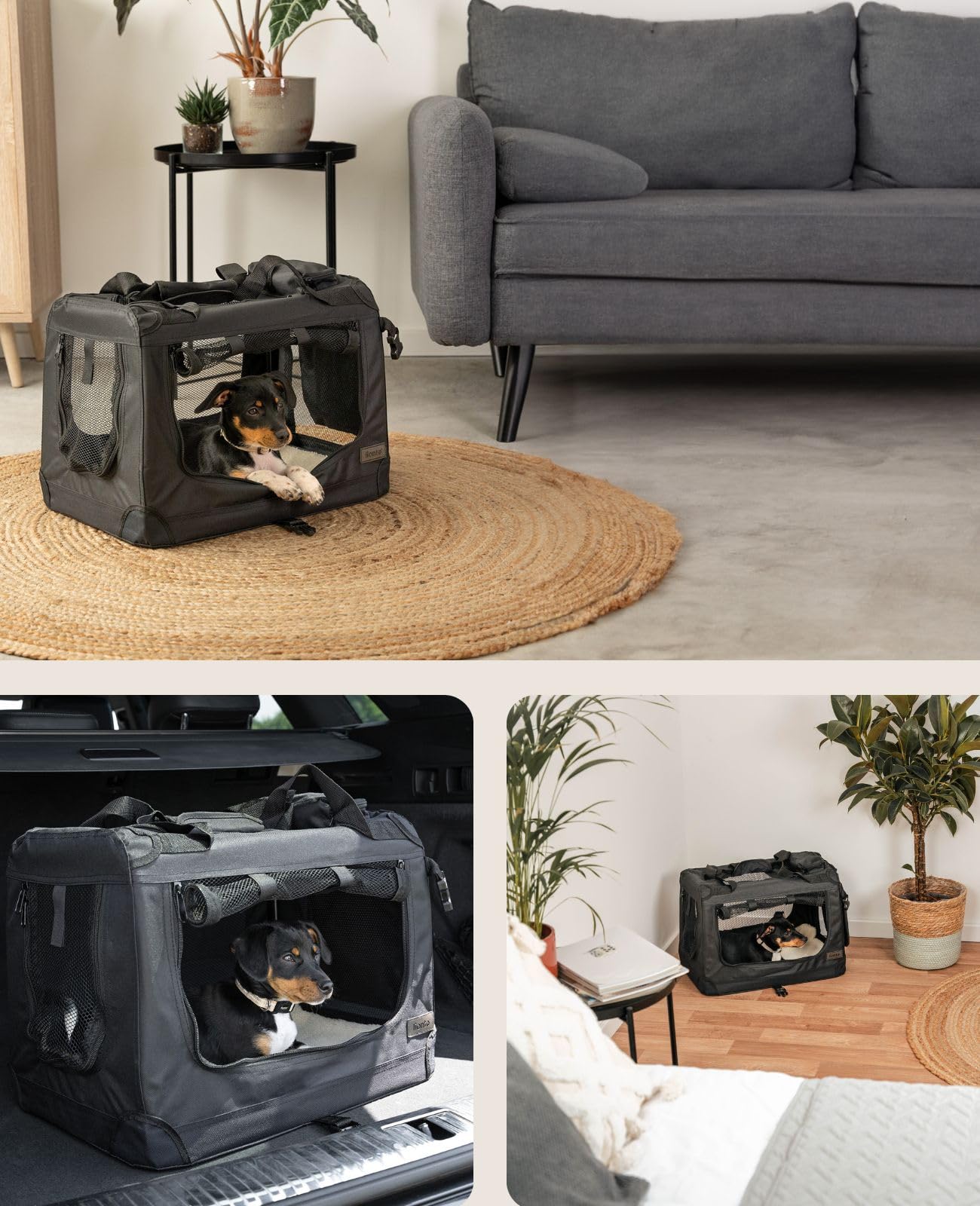 lionto Borsa trasportino per cani pieghevole per viaggi e auto, 50x34x36 cm, box di trasporto stabile con maniglie per gatti e animali fino a 10 kg, scatola in tessuto, nero