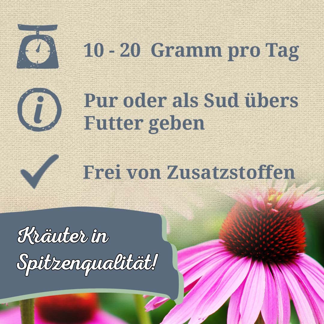 Krauterie Purpursonnenhutkraut für Pferde, geschnitten (1000 g)