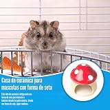 Ver la foto 6