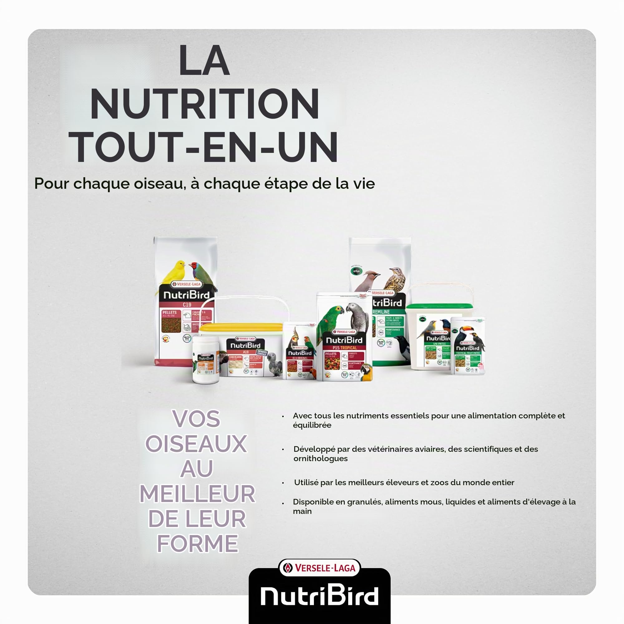 Nobby - Nourriture pour oiseaux - Loris et Loriculus - 3 kg