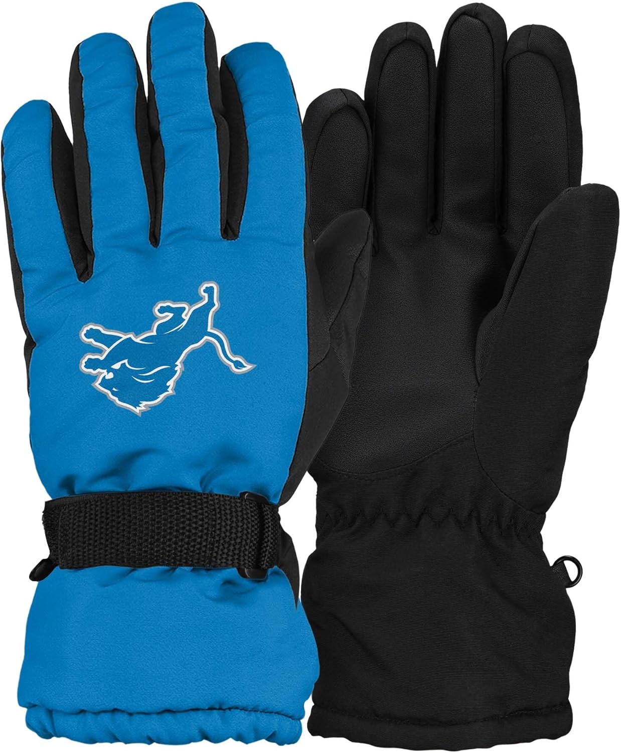 FOCO NFL unisex-adult Nfl Team Big Logo Ski Winter Insulated Gloves