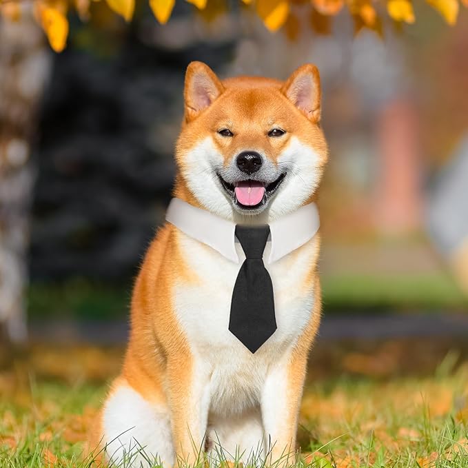 2 Piezas Corbata de Lazo Negro para Gato y Perro Pequeño, Ajustable miniatura 3
