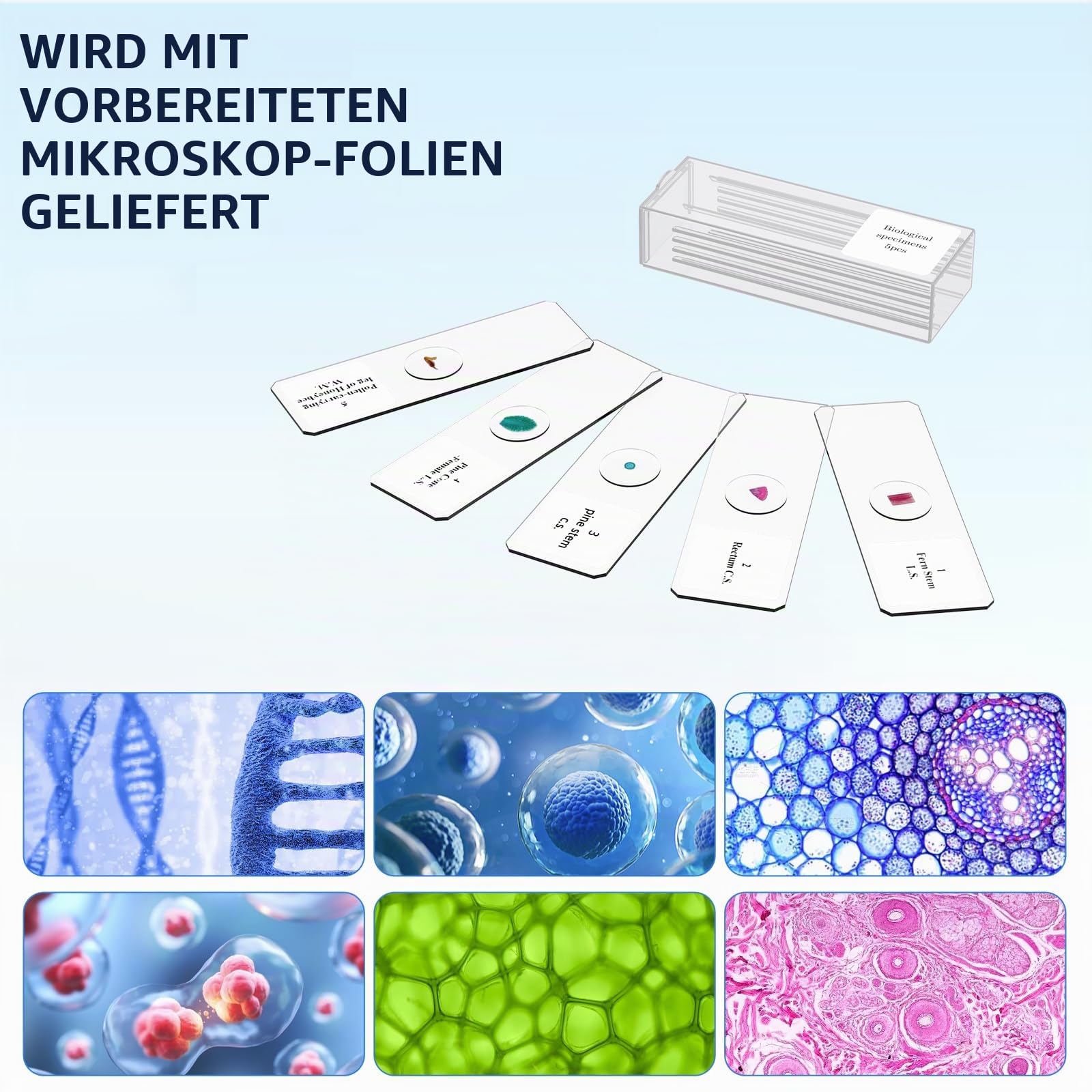 Mikroskop für Kinder Erwachsene Anfänger: 40-2000X Compound Biologie Mikroskop mit Slide Kit und Aufbewahrungskoffer - für Science Explore Education