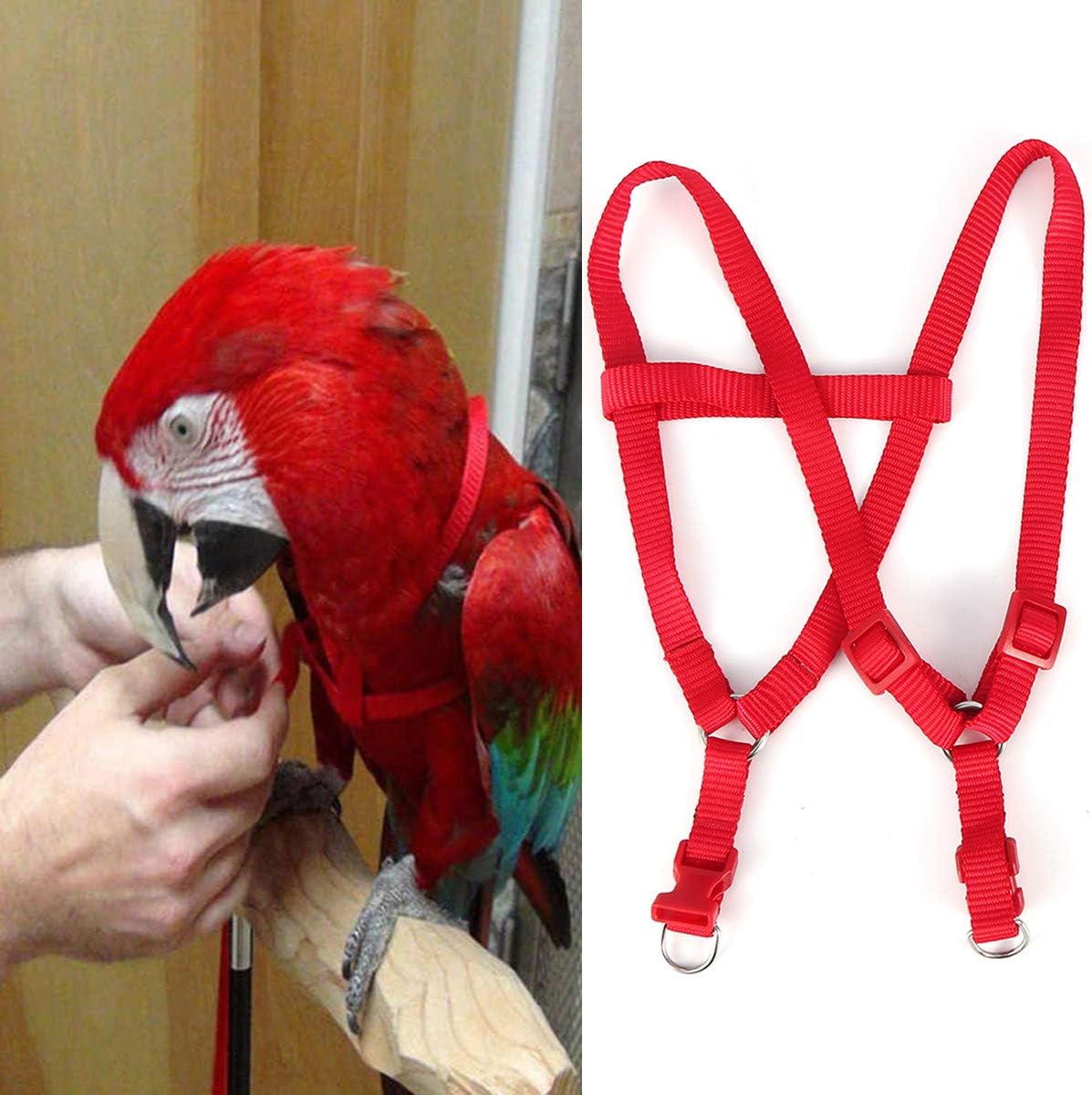 The Aviator Bird Harness Leash Extension 20 Foot/7 Meter