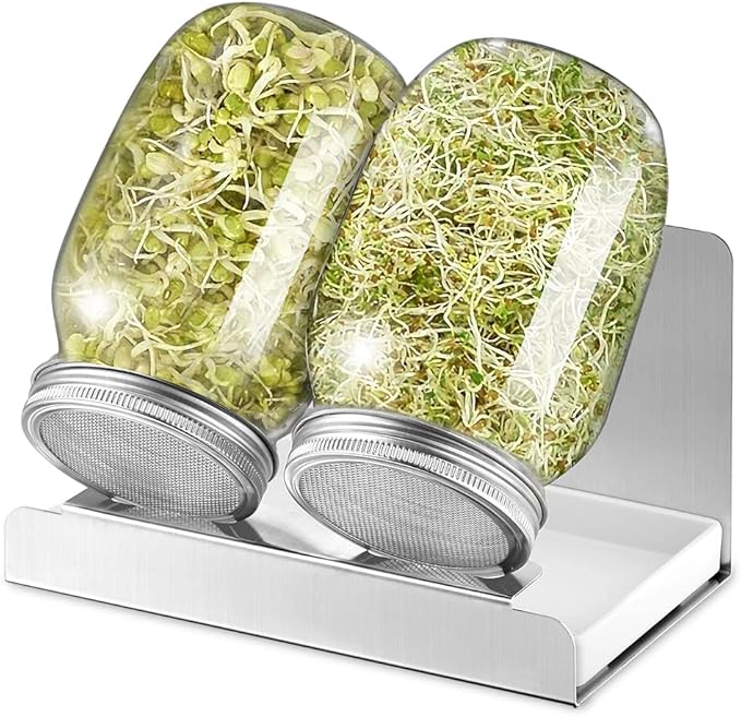 BESTYASH Sprossenglas-Ständer 2-teilig - Aufbewahrungsgestell Mit Wasserablauf Für Keimgläser