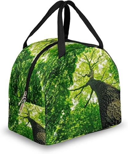 Green Tree Lunch Tote Bag for Women Adult Men Forest Insulated Lunch Box Small Leakproof Cute Lunchbox Cooler Bag Reusable Lunch Bag for Work Travel