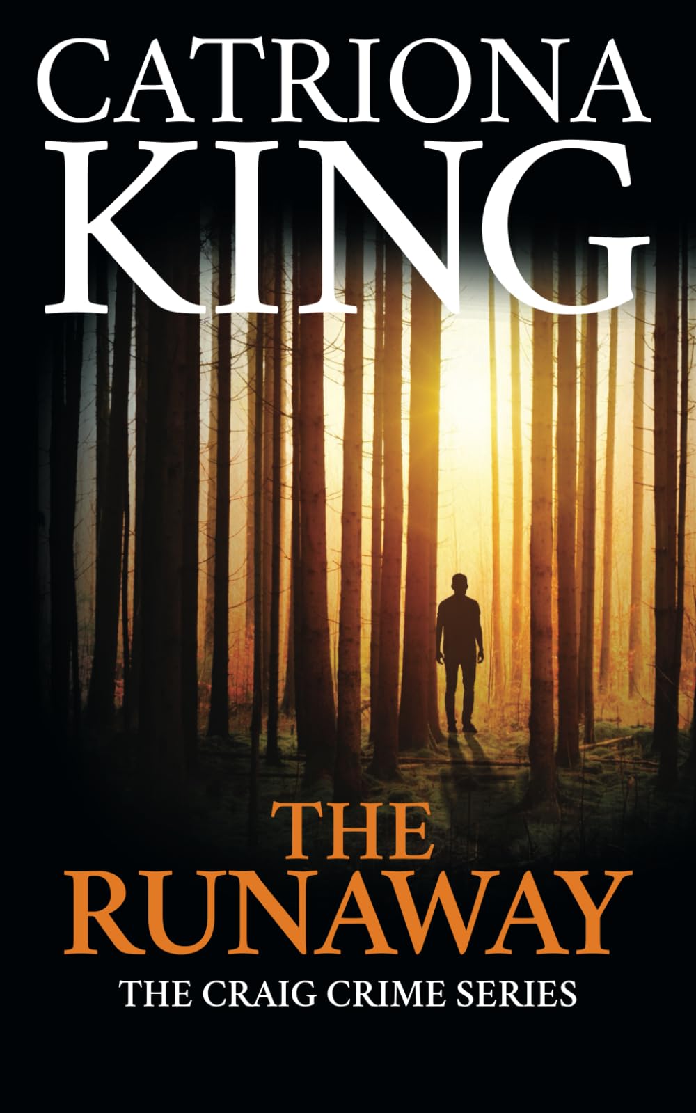 The Runaway (The Craig Crime Novels)