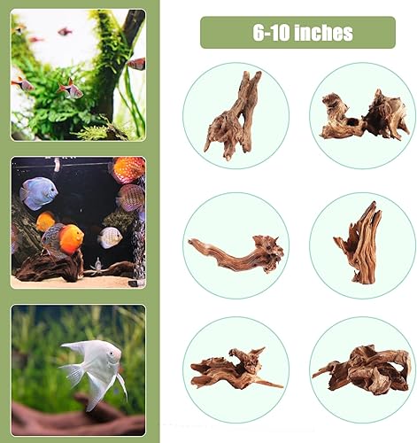 Miniatura 7 de LYPHARD AQUARIUMS Madera flotante para acuario, 3 piezas de 6 a 10 pulgadas de madera natural de deriva para peces, piezas de decoración de ramas