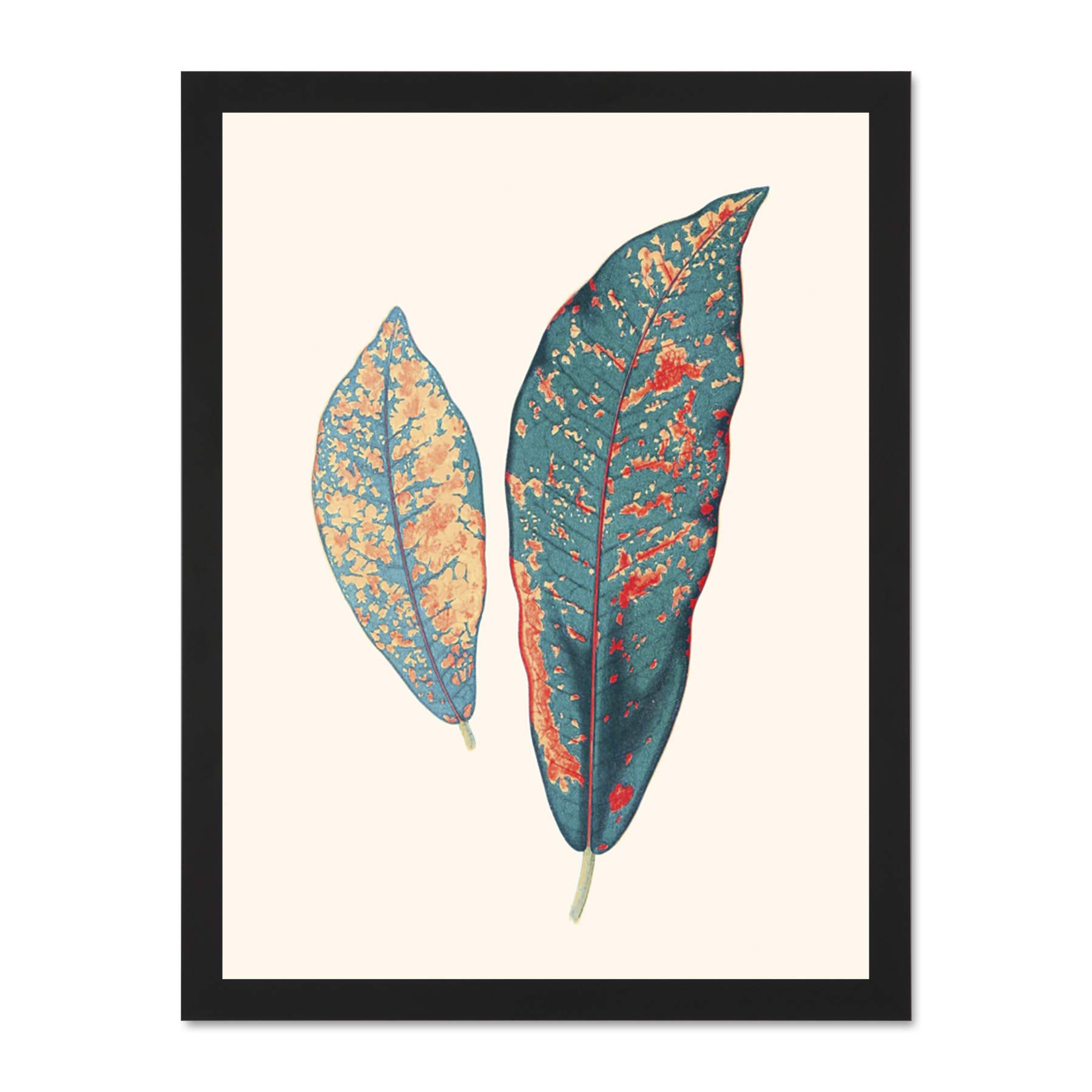 Wee Blue Coo Primary Coloured Exotic Leaves Large Black Framed Art Print Wall Poster 18x24 inch