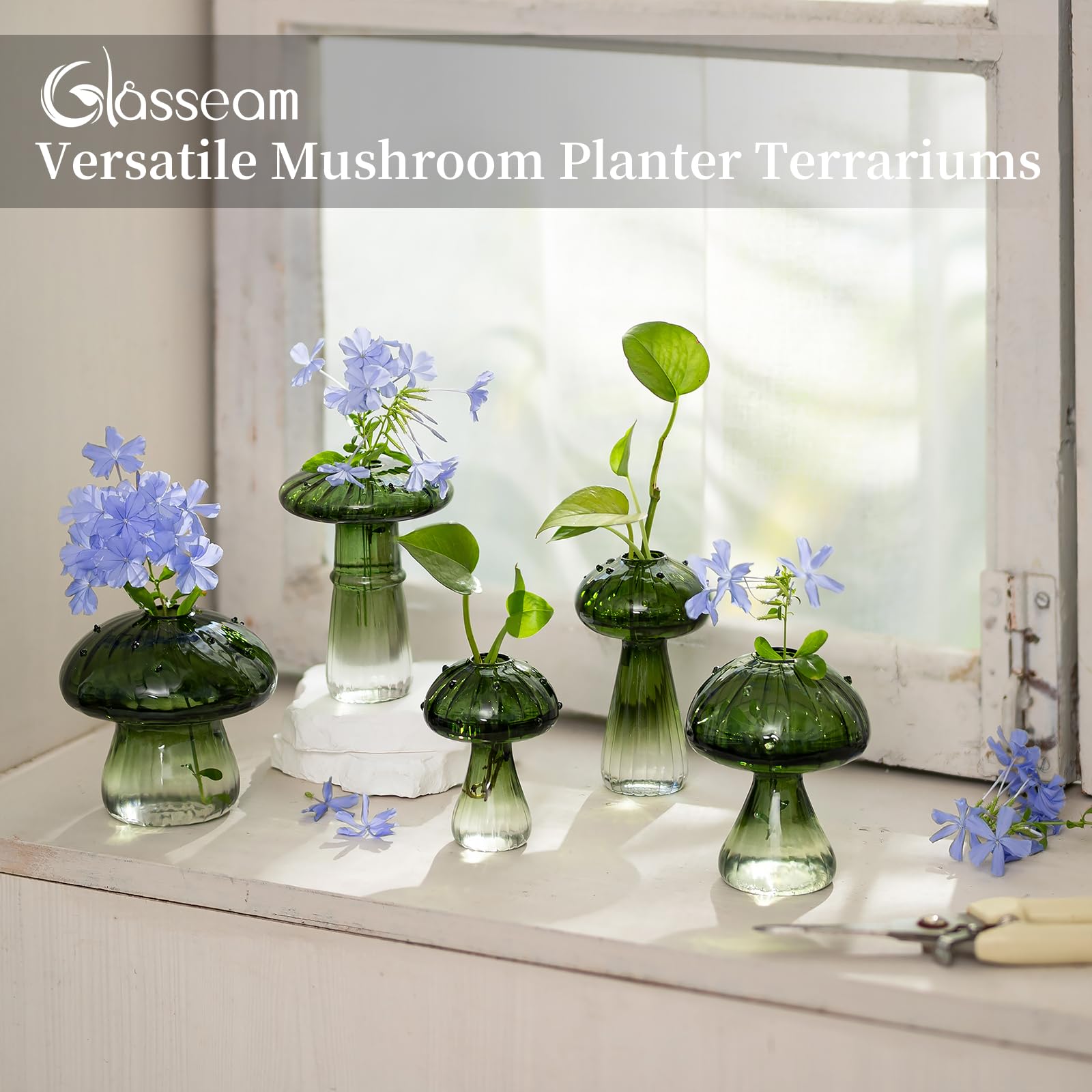 Glasseam Stations de propagation de plantes champignons : lot de 10 pots de terrarium en verre vert pour plantes d'intérieur - Mini station de propagation - Cadeaux uniques de Noël et d'anniversaire