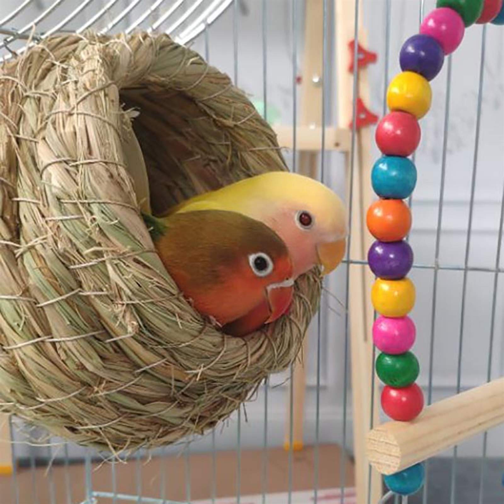 Nidi per Uccelli 2 Pezzi di Nido di Uccello Intrecciato a Mano, Posto di Allevamento di Uccelli canarino Pappagallo, Piccolo, Medio, Grande (Size : Large)