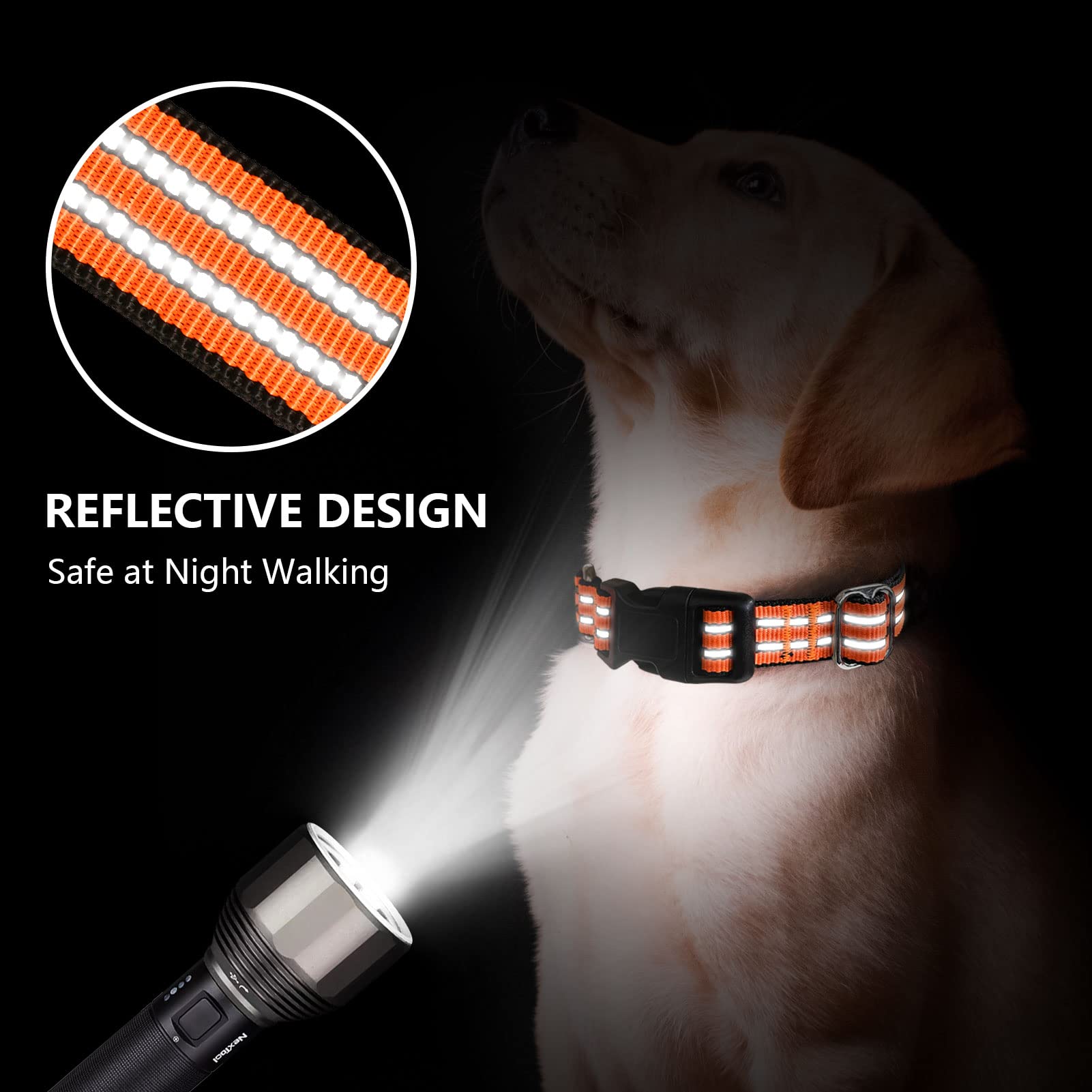Martingale Dog Collars - Image 3