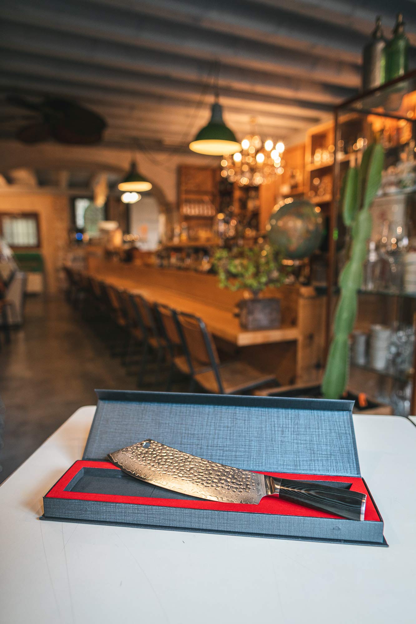 Japan Knives, Coltello da Cucina Giapponese Professionale per Carne, Barbecue SCIMITARRA Special MARTELLATO Musashi Lama 24 CM - 10 inch - Scatola a Chiusura Magnetica Inclusa