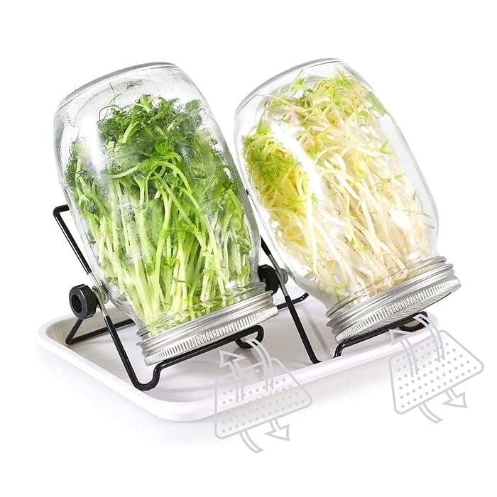 Buy Sprouting Seeds Jar Kit2Pack 32oz Complete Mason Jar Sprouting Kit