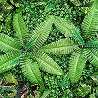 Vista 11 de Paneles de setos artificiales, telón de fondo de pared de vegetación, paneles de plantas de seto topiario, 12 piezas de 23.62 x 15.75 x 1.57