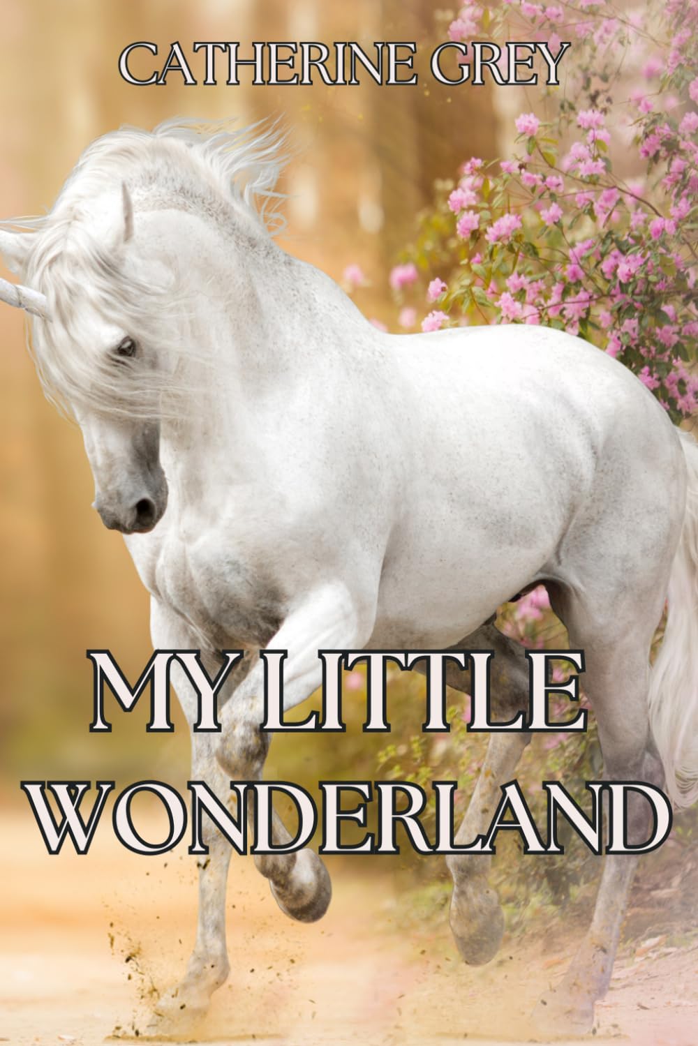 My little Wonderland (Dreamscapes)