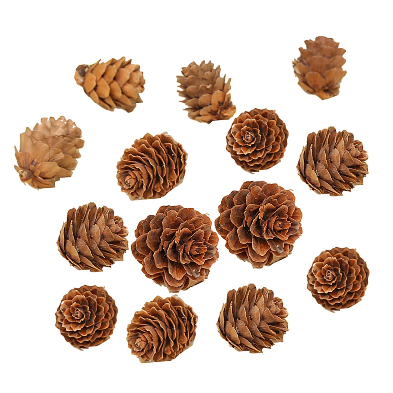 MAGICLULU 210piezas Piñas Naturales Secas de Decoraciones Hogar para Acción de Gracias y Navidad Adorno Vegetal