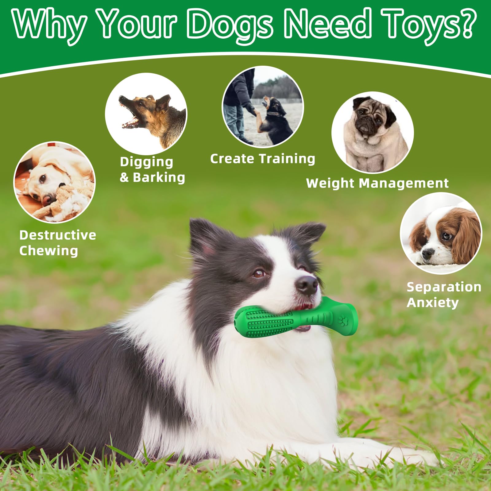 HETOO Dog Chew Toys, Dog Toothbrush Toys for Puppy Dental Care Teeth Cleaning Natural Rubber Teeth Grinding Rod Gifts for Dogs - Image 4