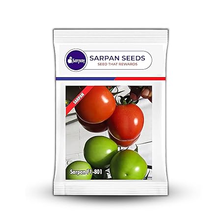 SARPAN SEEDS - Sarpan tomato - 801 seeds | vegetable seeds | plant seeds | home garden | tomoto seeds | tamatar