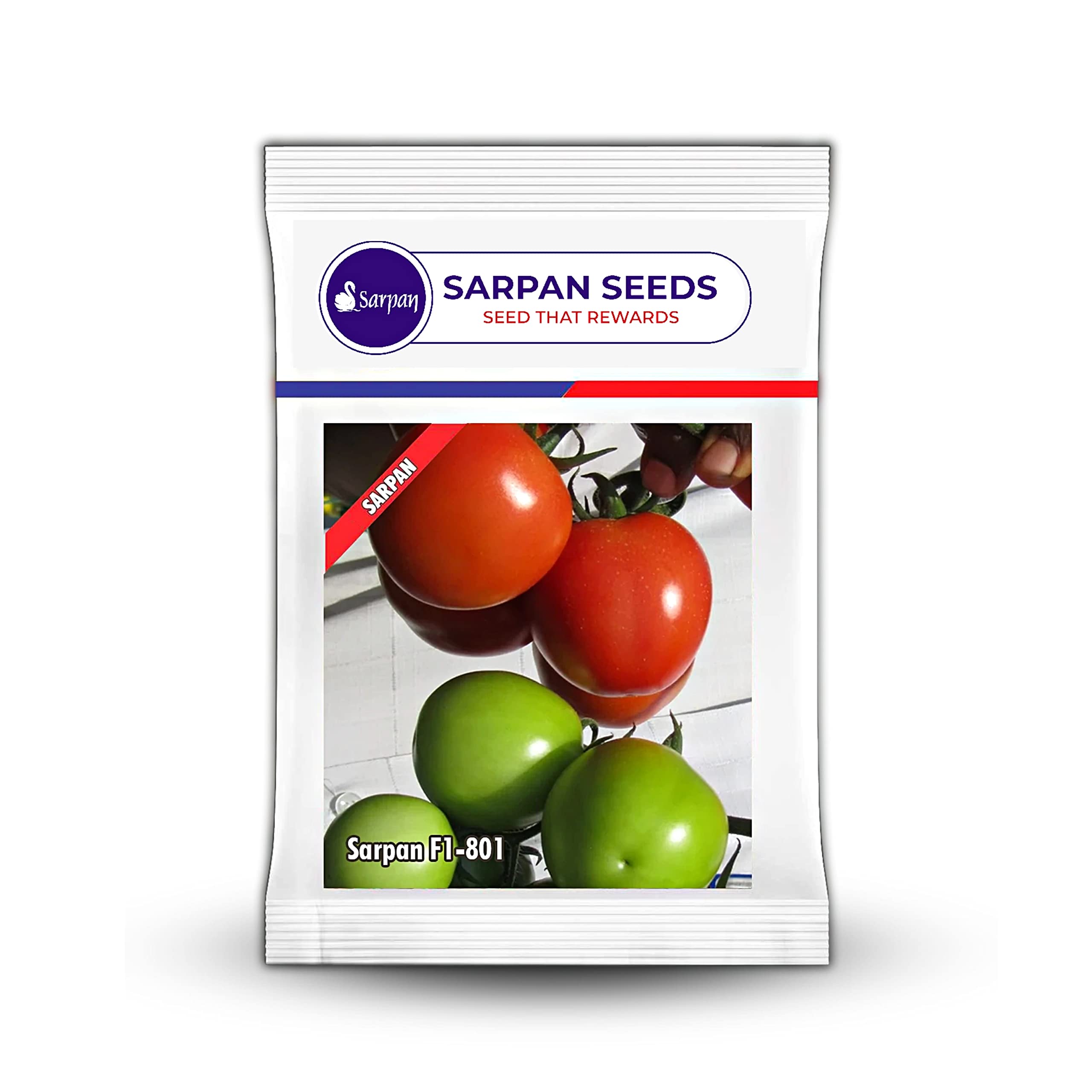 SARPAN SEEDS - Sarpan tomato - 801 seeds | vegetable seeds | plant seeds | home garden | tomoto seeds | tamatar