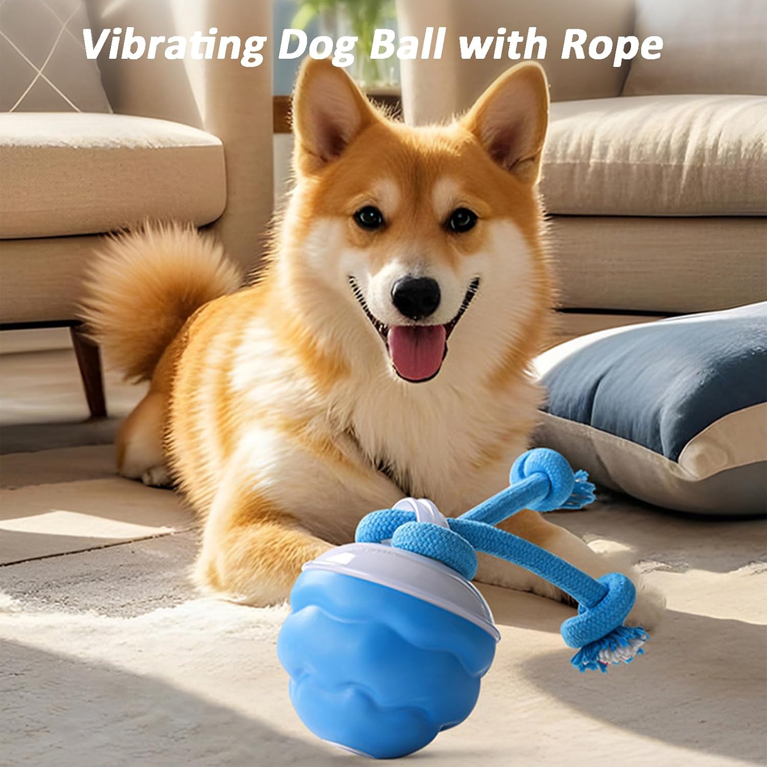 Vibrating Squeaky Electric Balls Toys Auto Rolling Smart Jumping Ball for Dogs, Interactive Puppy Chasing Spinning Balls(2pcs)