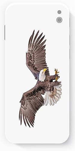 Miniatura 4 de Paquete de 2 calcomanías de vinilo de águila calva  Eagle about to Catch Prey Motion  Calcomanías de vinilo para automóvil, camión, motocicleta