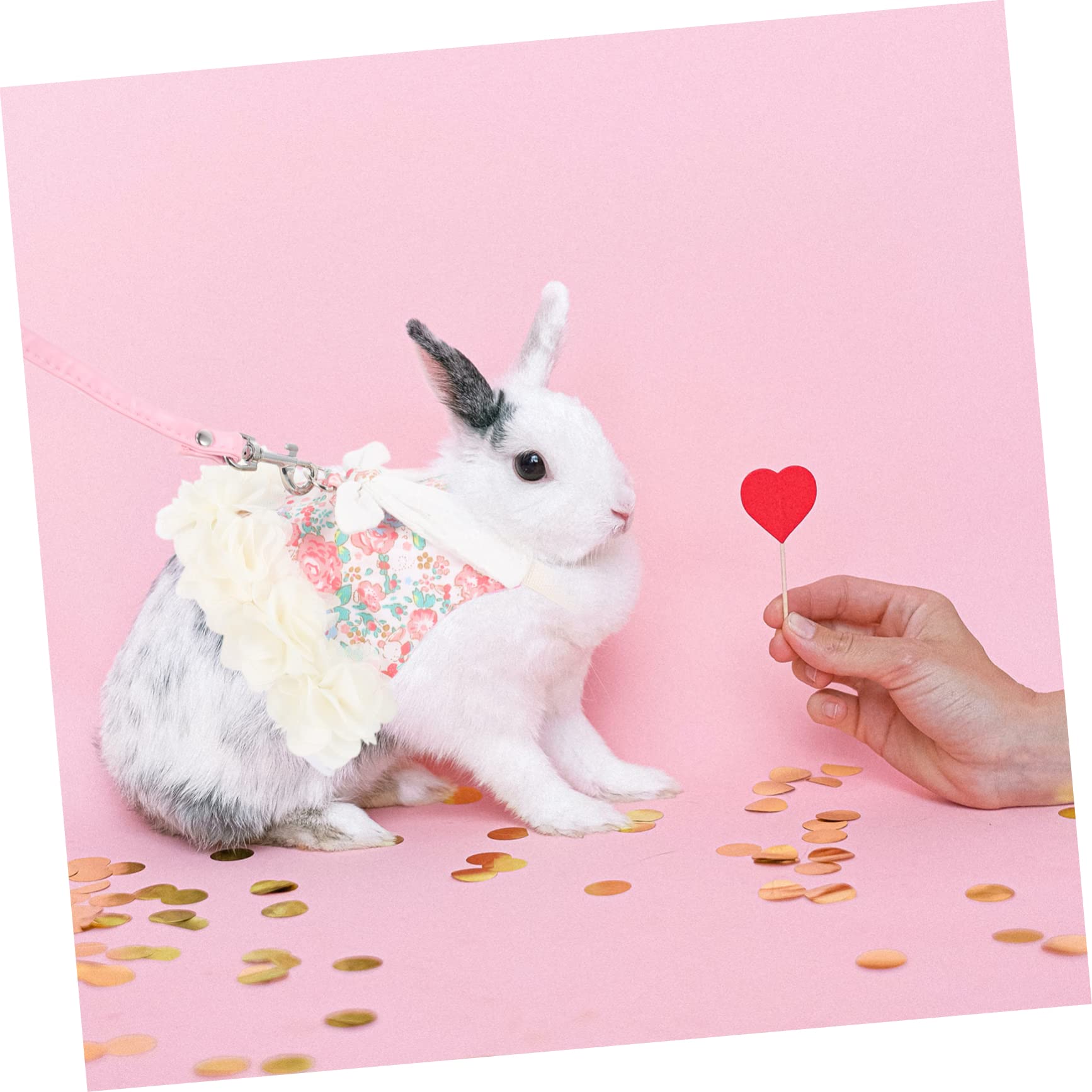 POPETPOP Ensemble Vêtement Décoratif pour Lapin Laisse en Coton Rose, Doux Odeur, pour Promenades Extérieures et Fêtes