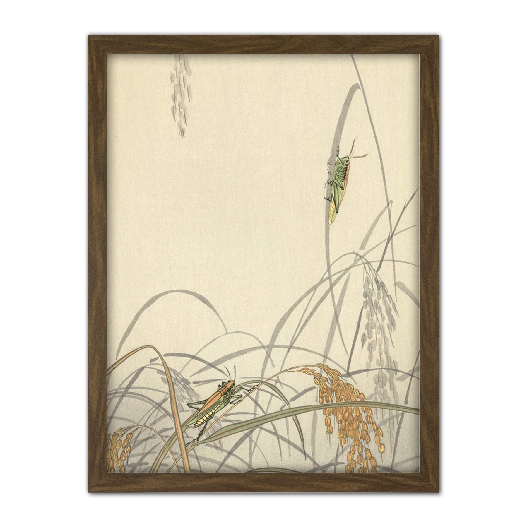 Artery8 Ohara Koson Grasshoppers On Rice Plants Painting Artwork Framed Wall Art Print 18X24 Inch