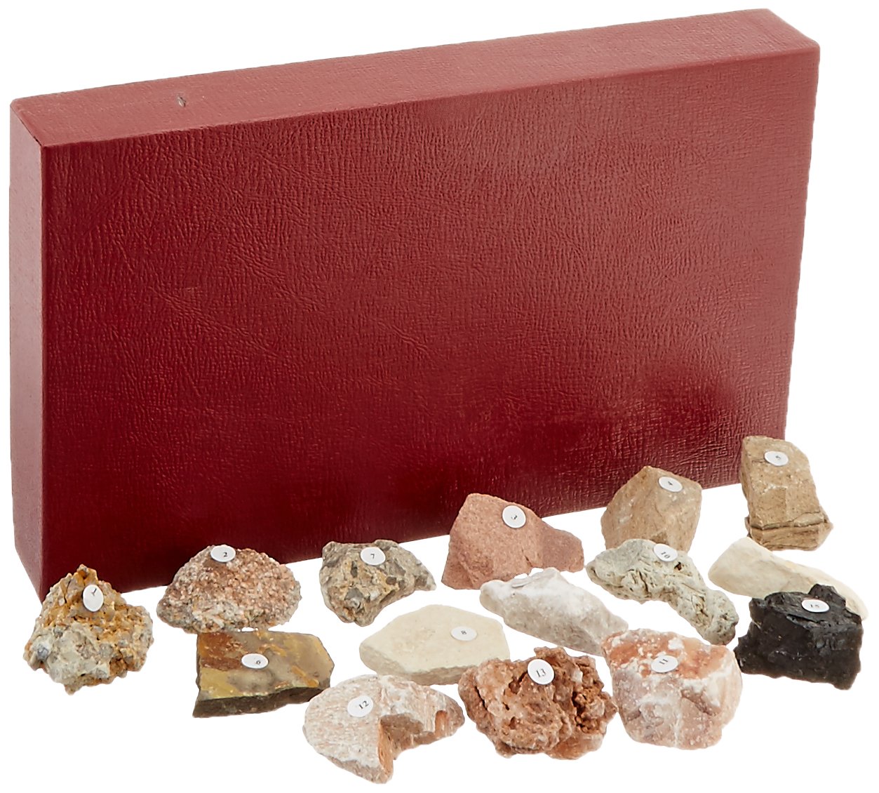 15 Piece Sedimentary Rock Set
