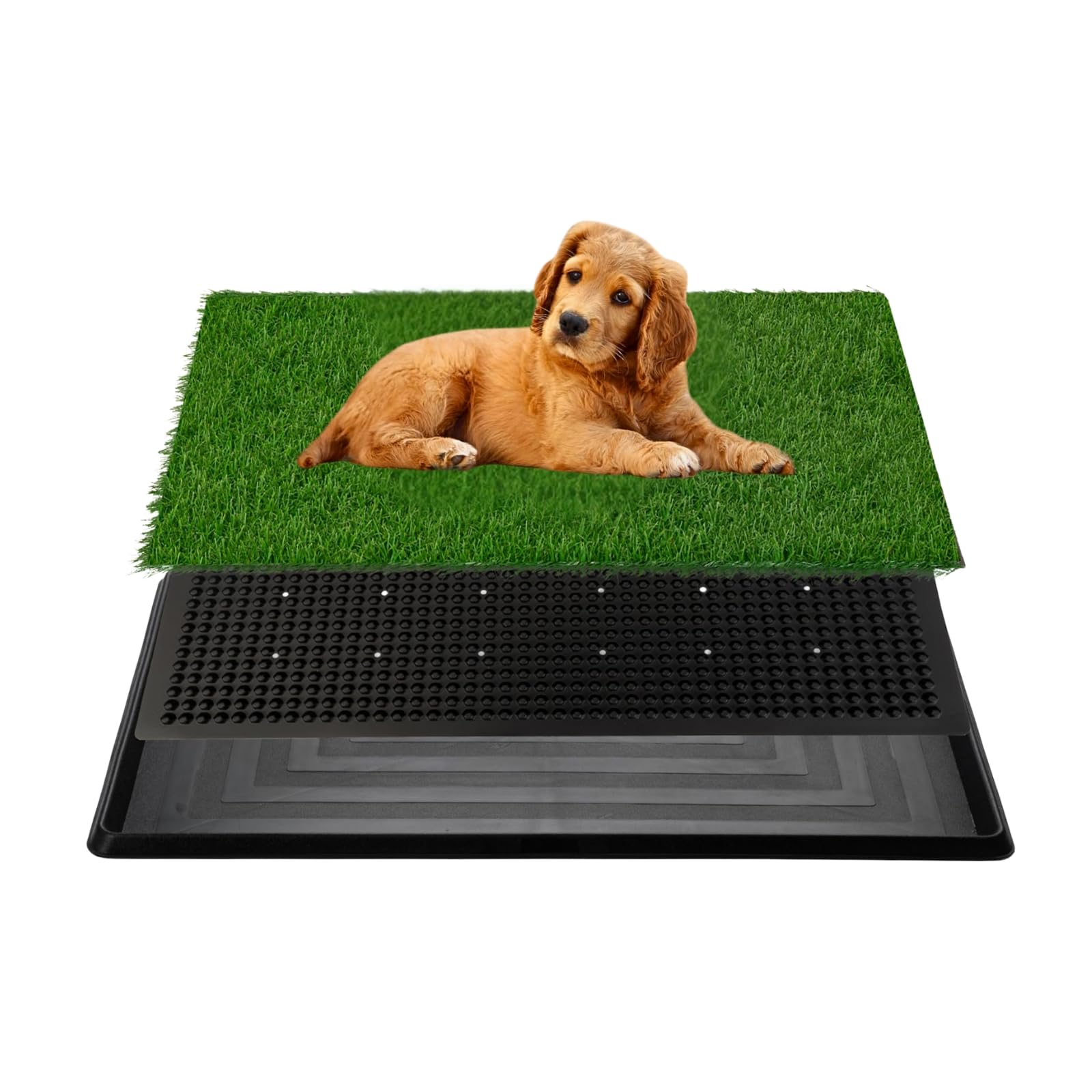 FluffyDream Hundegras-Pad mit Tablett, 40,6 x 50,8 cm, 3-lagiges Trainingspad, Urinierpads für Hunde, geruchsfrei, Hundetoilette für Innenbereich, Balkon, Wohnung