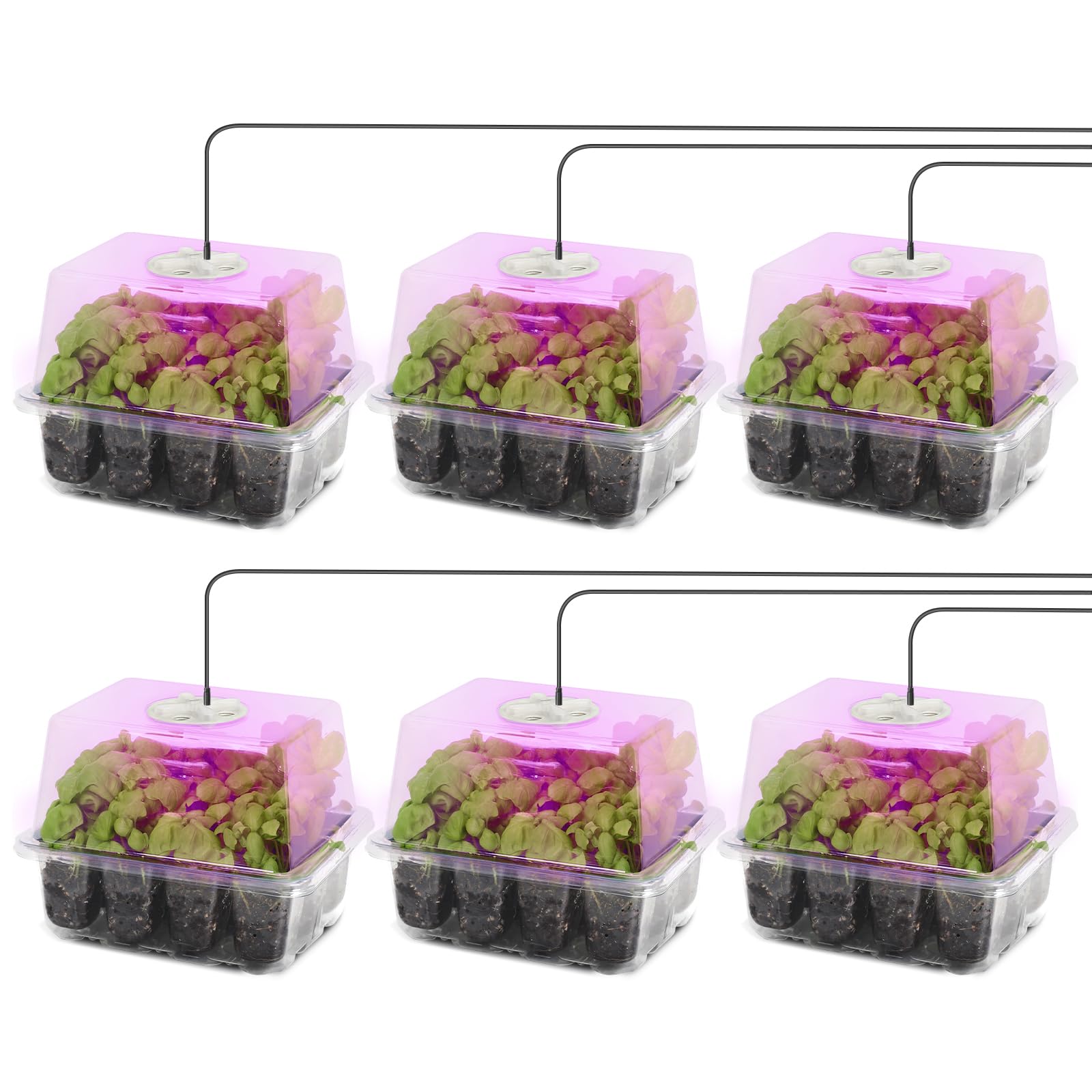 Plateau de démarrage de graines MIXC avec lampe de croissance LED pour semis