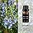 BURIBURI Rosemary Essential Oil 100% Pure, Undiluted, Natural, Organic Aromatherapy Rosemary Oil Essential Oils 10ML