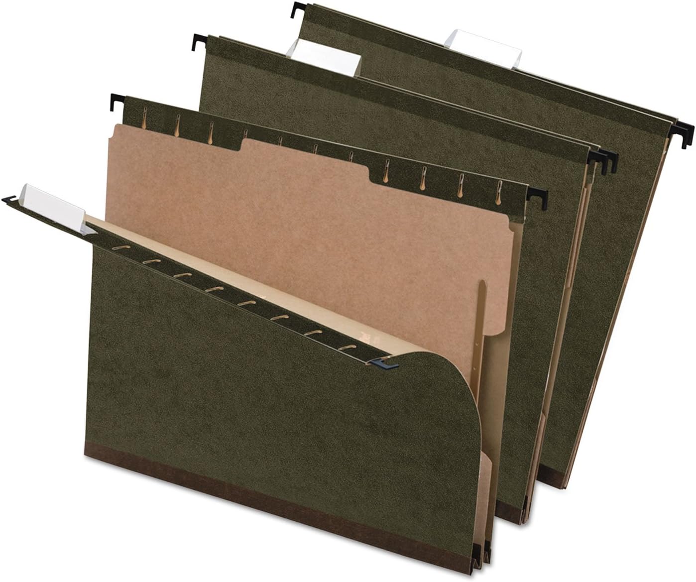 Pendaflex 59253 Surehook Reinforced Hanging Folder, 1