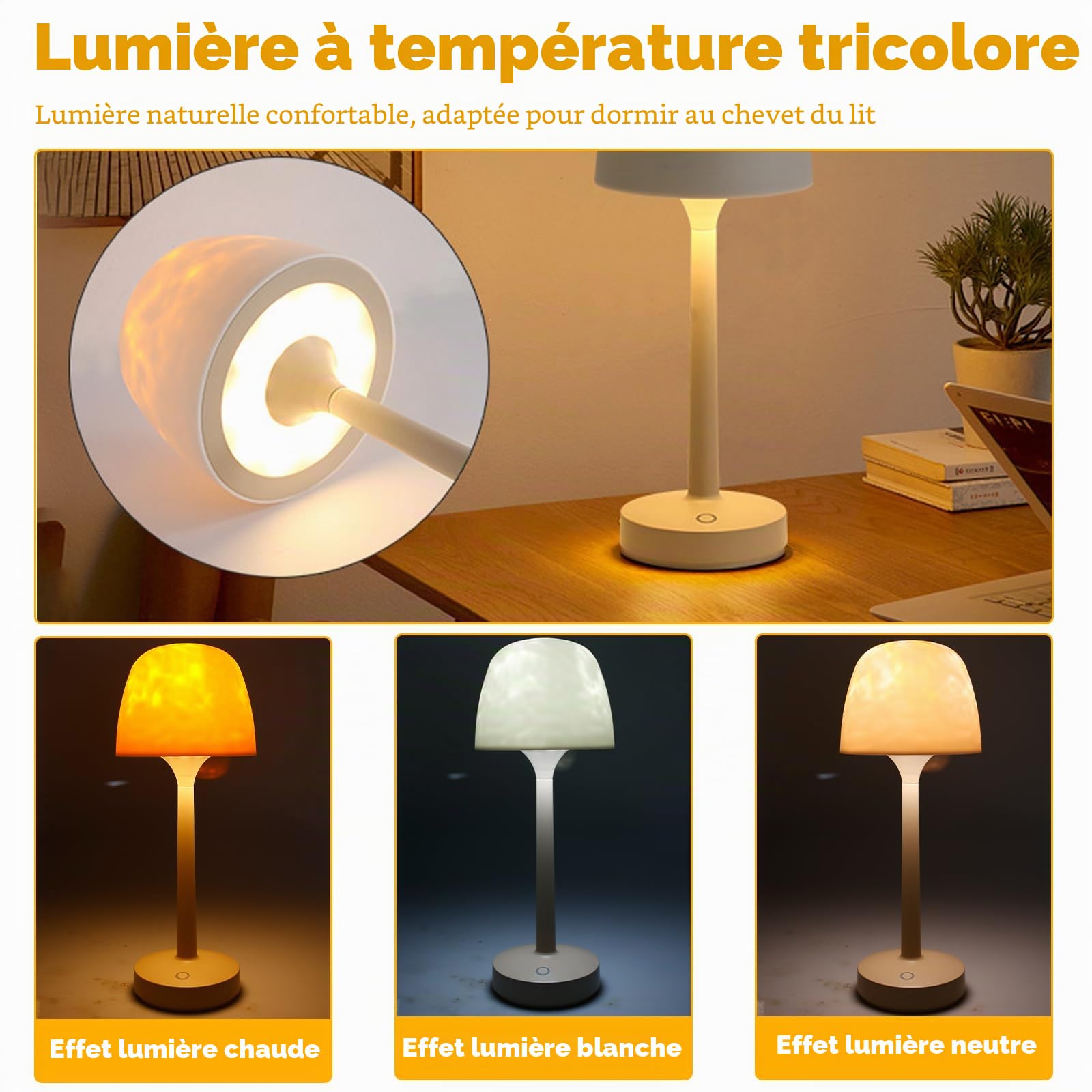 GBKDQQ Lampe de Douche SPA Étanche, Projecteur de Lumière avec 16 Couleurs d'Aurores Boréales, Télécommande, Batterie Rechargeable, pour Salle de Bain, Chambre et Salon