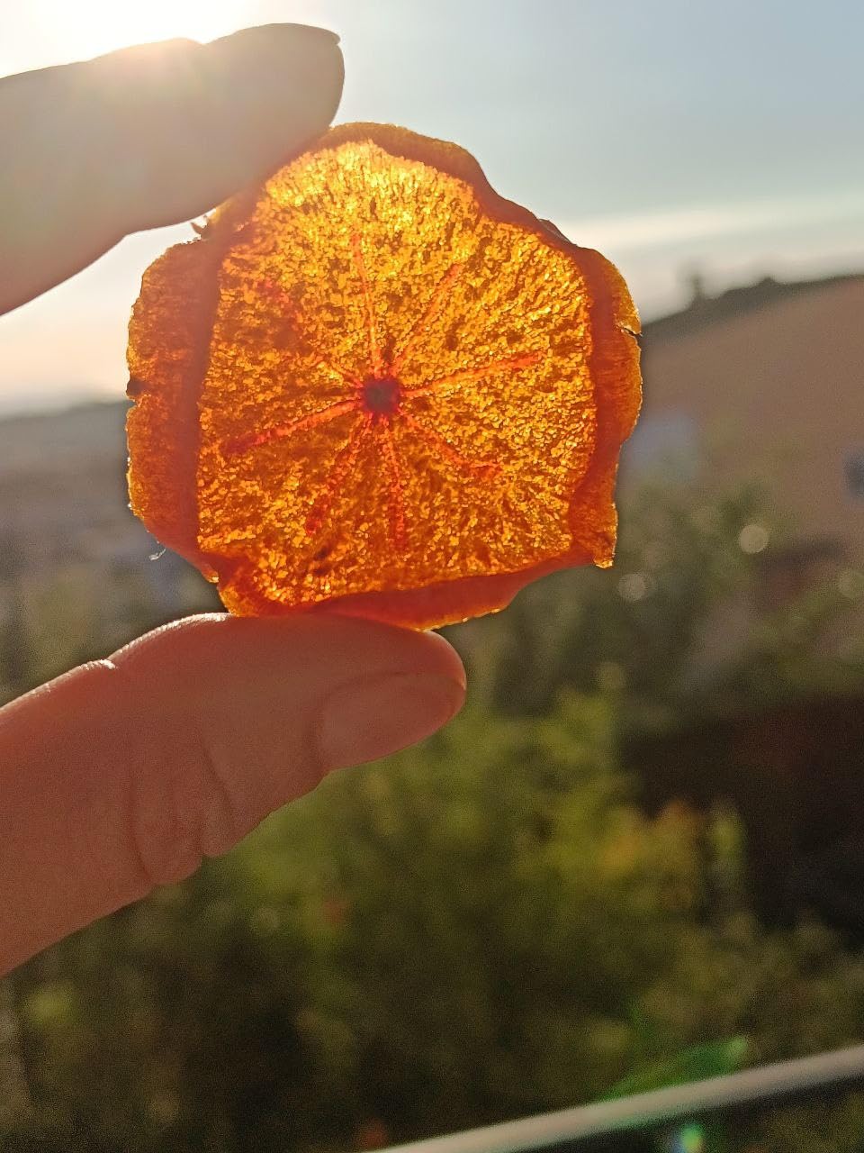 Mezcla de frutas deshidratados 200 GR sin azucar y sin sulfitos, puro y natural