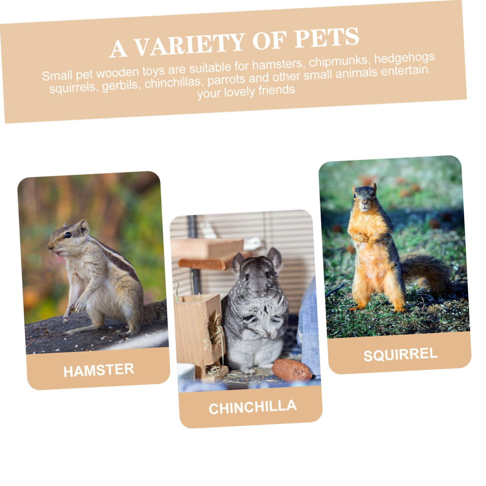 Toddmomy Boules à Mâcher Lot de 36 Aide Broyage des Dents en Plante Naturelle, Jouet à Mâcher et Accompagnement des Animaux pour Lapins et Hamsters pour Petits Animaux