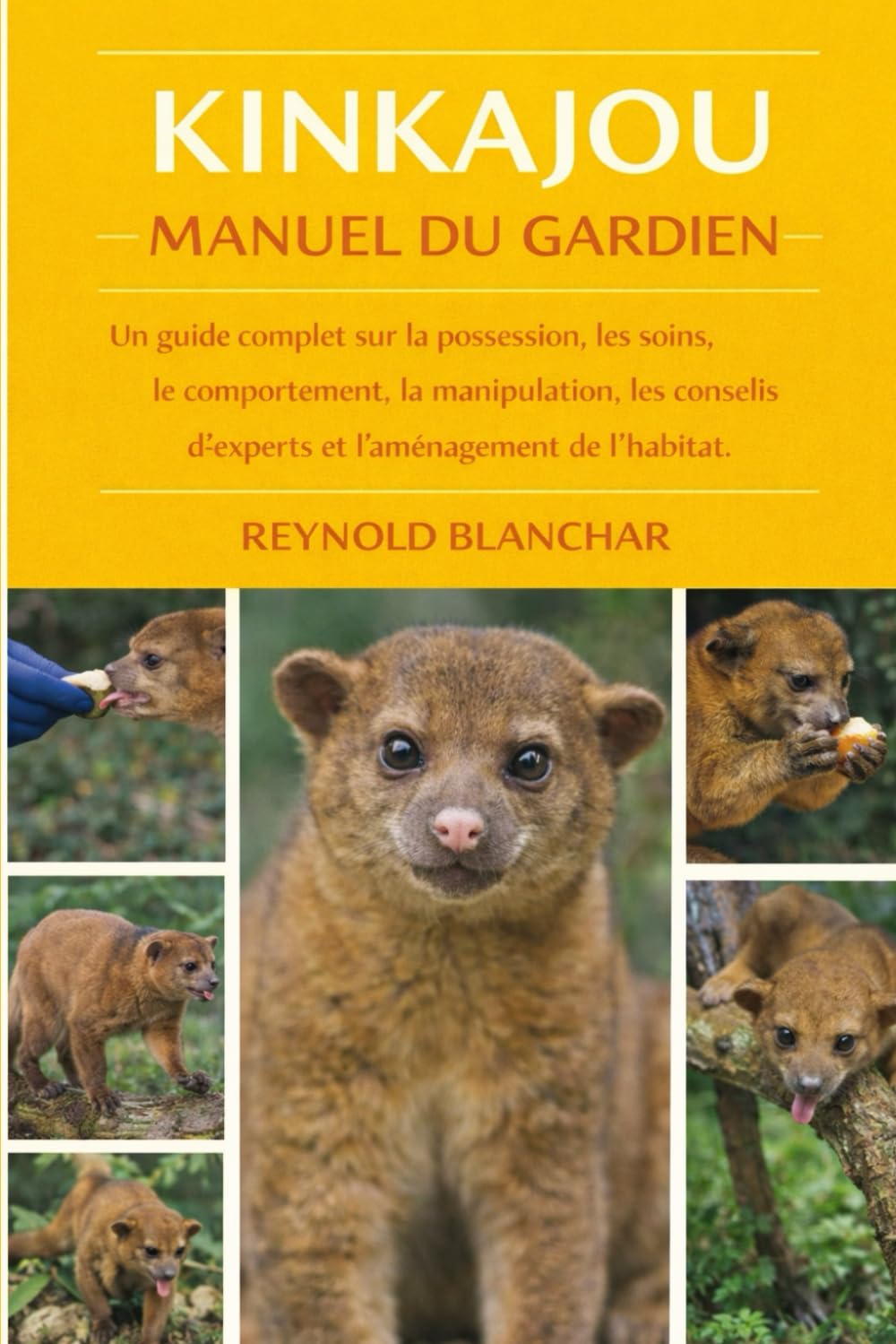 KINKAJOU: Un guide complet sur la possession, les soins, le comportement, la manipulation, les conseils d'experts et l'aménagement de l'habitat