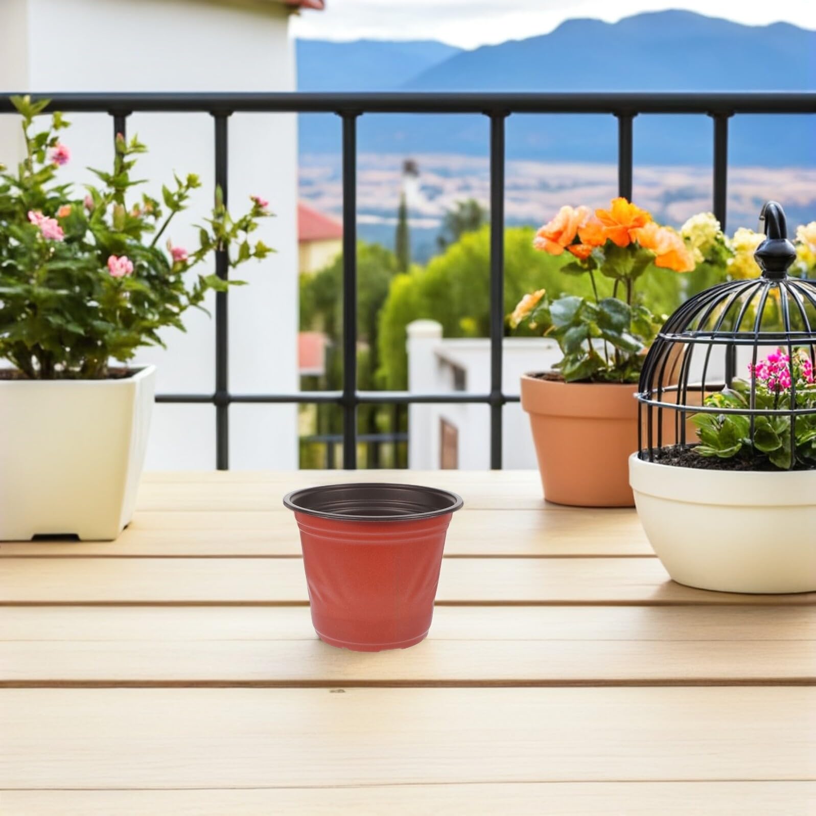 60 pièces Lot de Pots de Semis Ronds Plastique PP à Drainage Pots Légers pour Succulentes et Jardinage Intérieur Extérieur pour Plantation et Bouturage