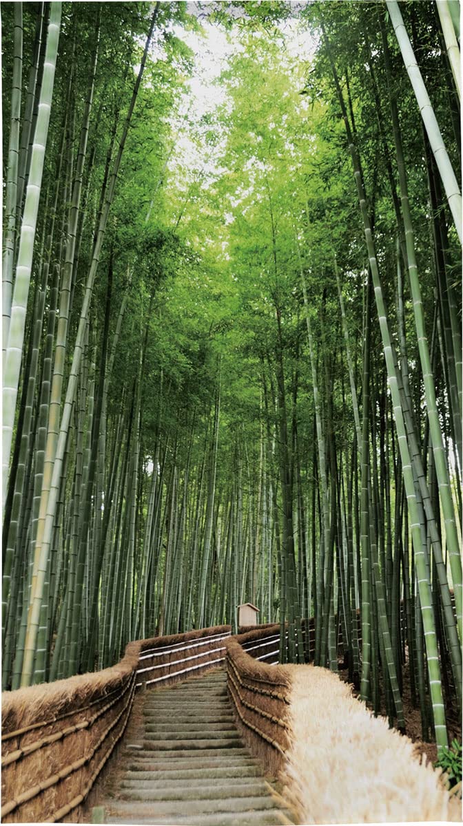 Amazon.co.jp: のれん工房 のれん 風景 景色 緑 竹林