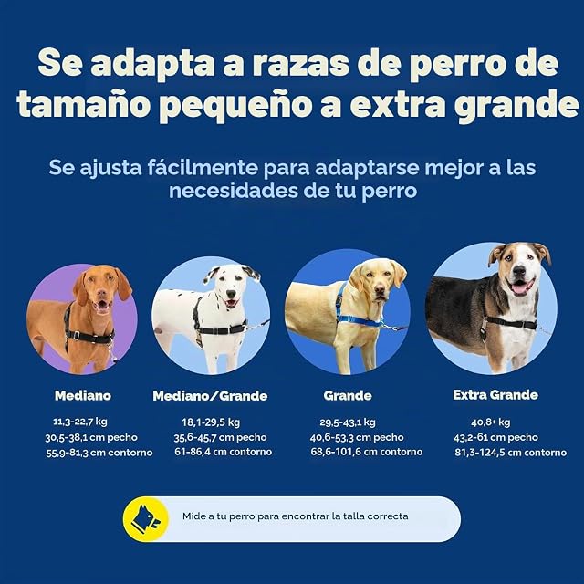 Foto 7 de 8 de Arnés para Perros PetSafe Easy Walk