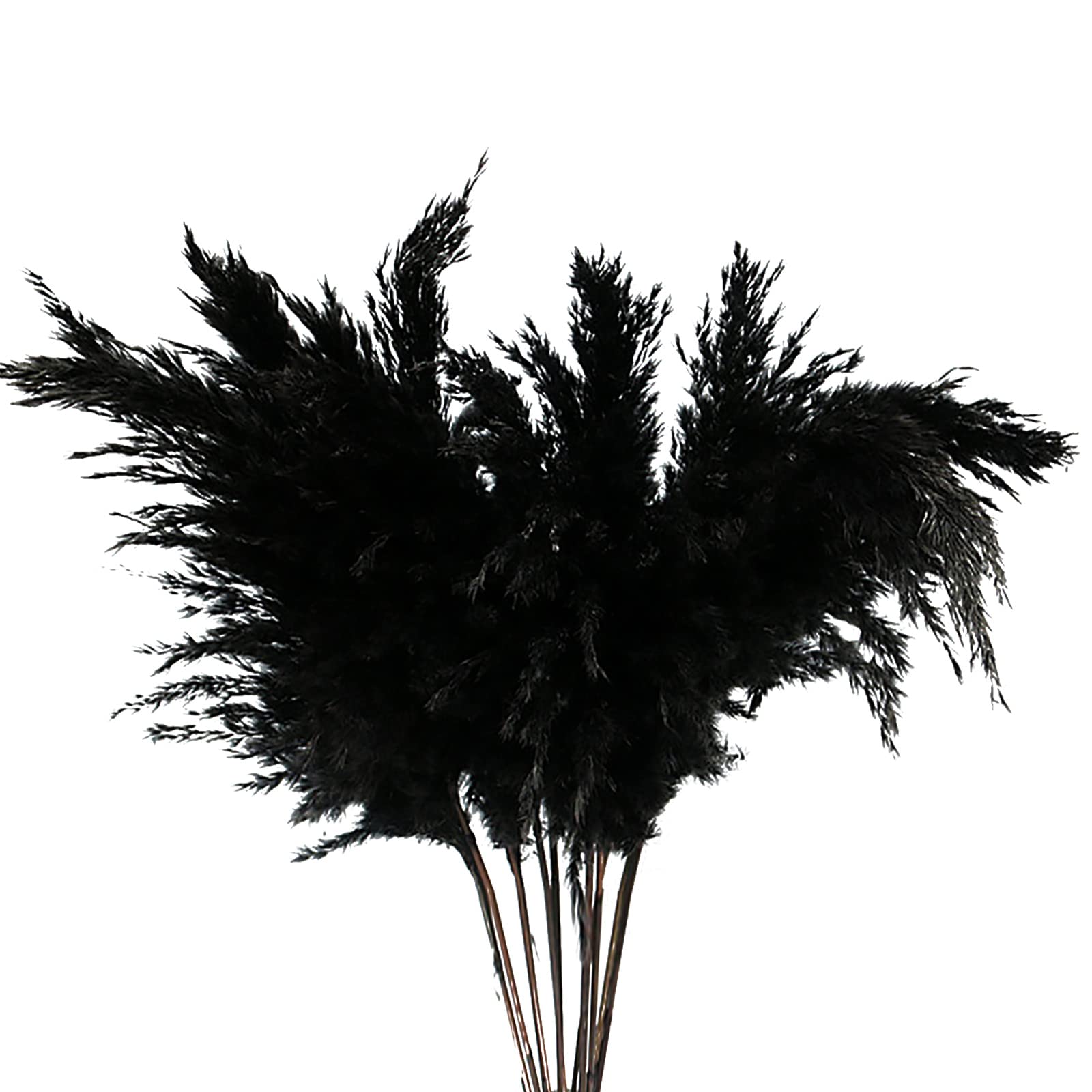 5 Steli Di Erba Della Pampa Finta Nera, Composizione Floreale In Seta Per Matrimoni E Centrotavola, Decorazione Artificiale Alta 45 Cm (Vaso Escluso)