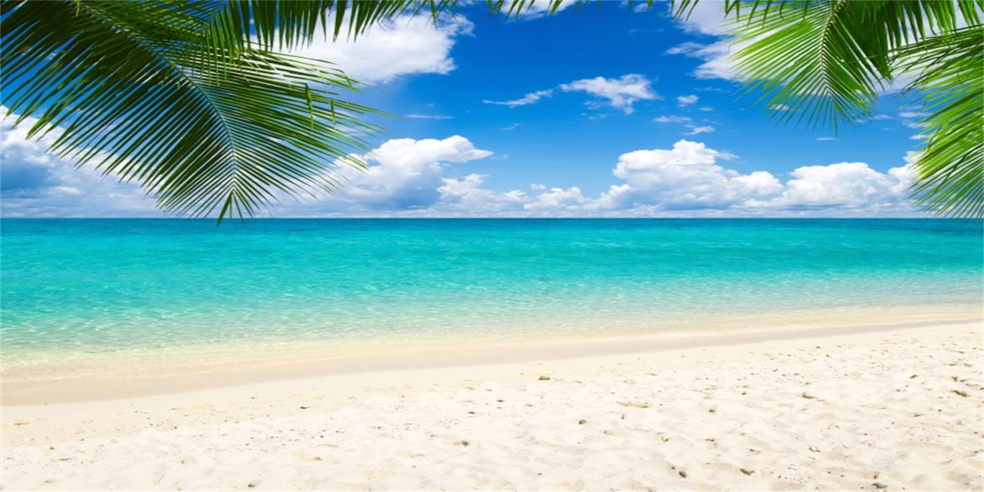 MIRRORANG 91x50cm Tropical Aquarium Background Blue Sea Sand Beach Fish Tank Background โ image 1