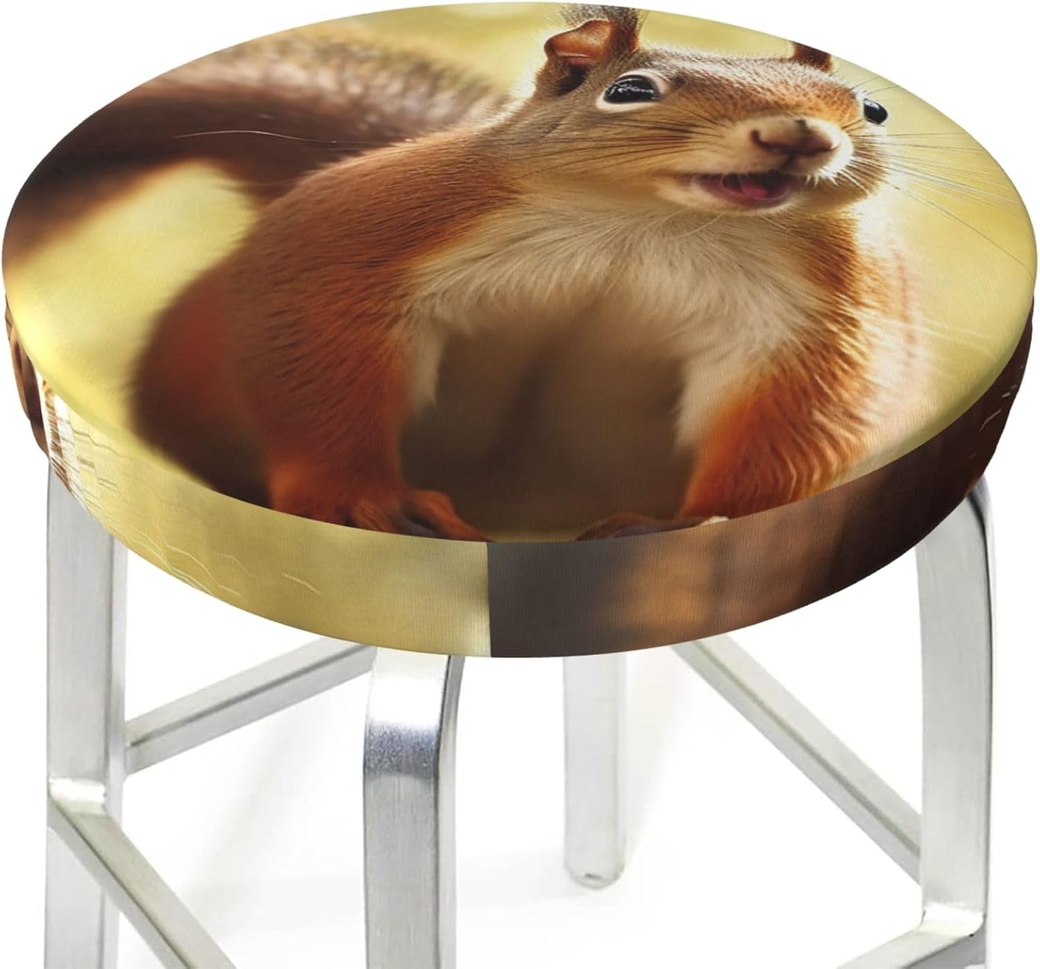 Bar Stool Cover Round Elastic Stool Cushion Covers Funny Squirrel Bar Chair Cover Washable Stool Cushion Slipcover Stretch Stool Seat Covers for 12-14 Inch Chair