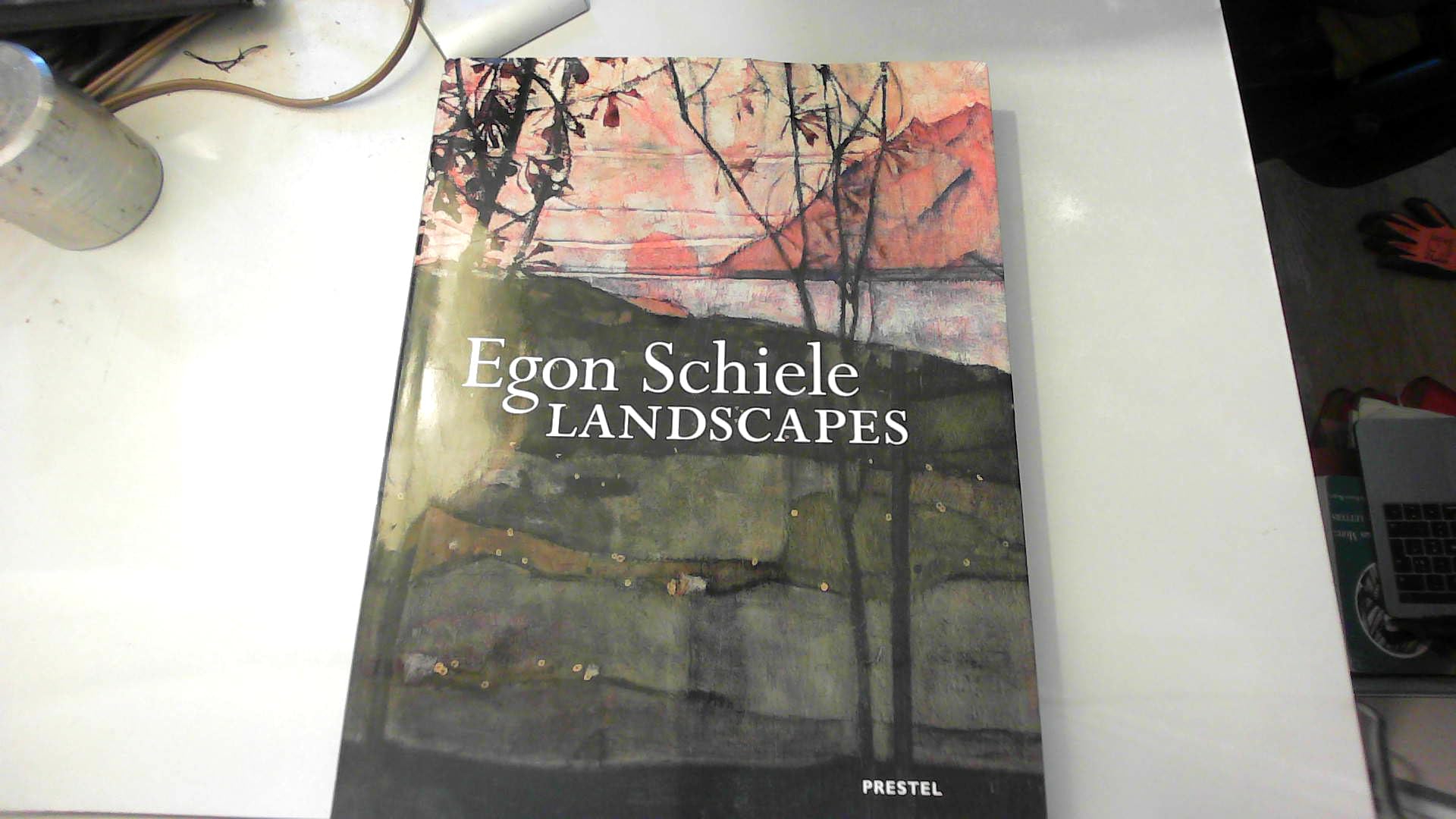 Egon Schiele Landscapes beau livre d'art de collection aux finitions premium