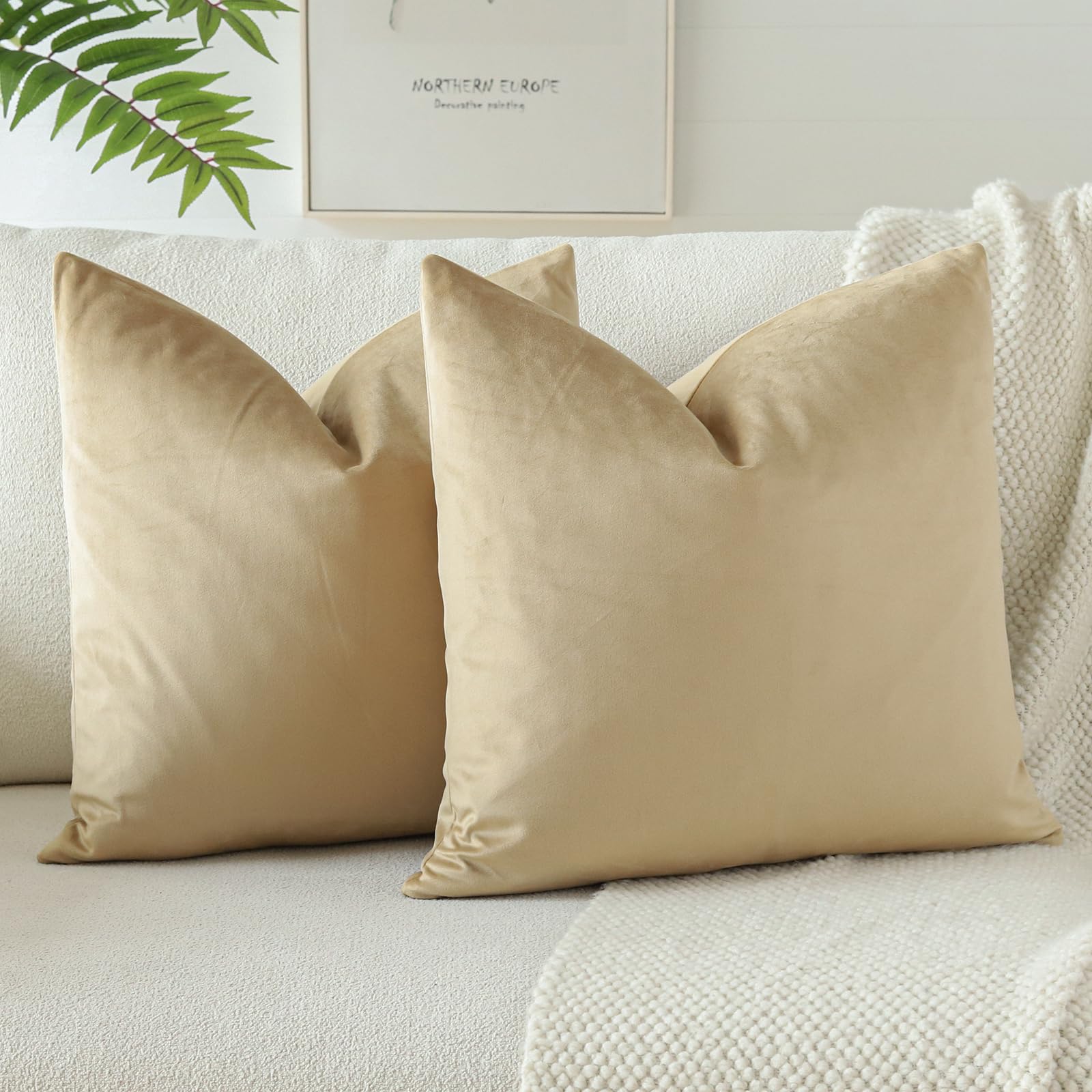 Housses de coussin en velours d'une douceur exceptionnelle 55x55 cm OTOSTAR